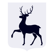 ИНФОРМАЦИОННОЕ СООБЩЕНИЕ